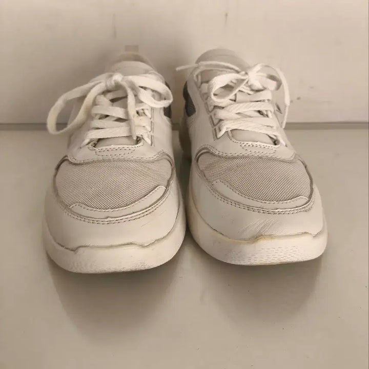 [BUNJANG] Lacoste Wildcard Sneakers / 270mm 라코스테 와일드카드 운동화