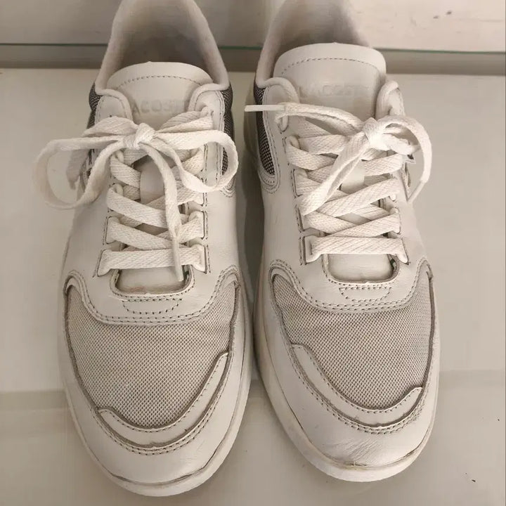 [BUNJANG] Lacoste Wildcard Sneakers / 270mm 라코스테 와일드카드 운동화
