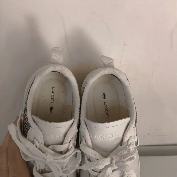 [BUNJANG] Lacoste Wildcard Sneakers / 270mm 라코스테 와일드카드 운동화