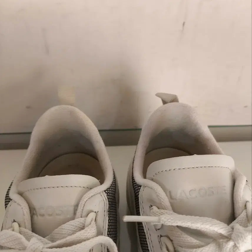 [BUNJANG] Lacoste Wildcard Sneakers / 270mm 라코스테 와일드카드 운동화