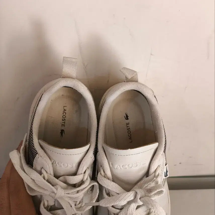 [BUNJANG] Lacoste Wildcard Sneakers / 270mm 라코스테 와일드카드 운동화