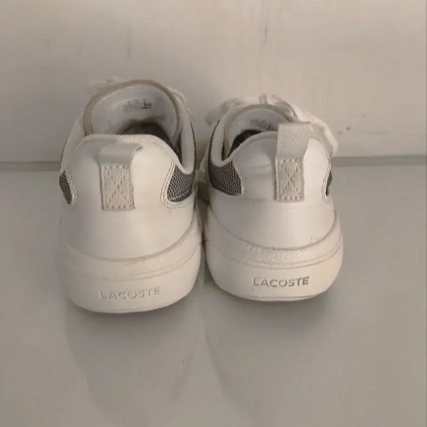 [BUNJANG] Lacoste Wildcard Sneakers / 270mm 라코스테 와일드카드 운동화