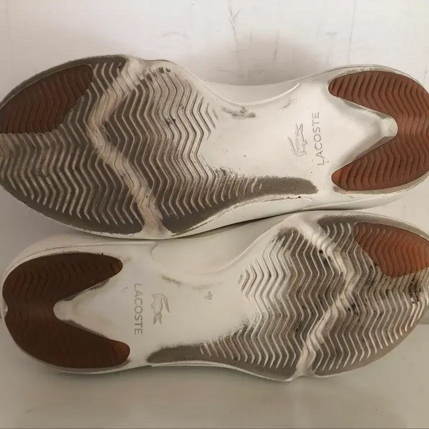 [BUNJANG] Lacoste Wildcard Sneakers / 270mm 라코스테 와일드카드 운동화