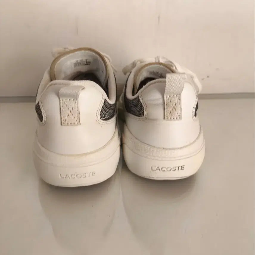 [BUNJANG] Lacoste Wildcard Sneakers / 270mm 라코스테 와일드카드 운동화