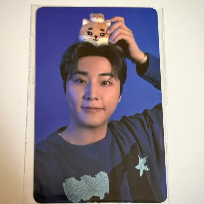 [BUNJANG] Day6 Young K Photocard / 데이식스 릴패스 영케이 5만 포카