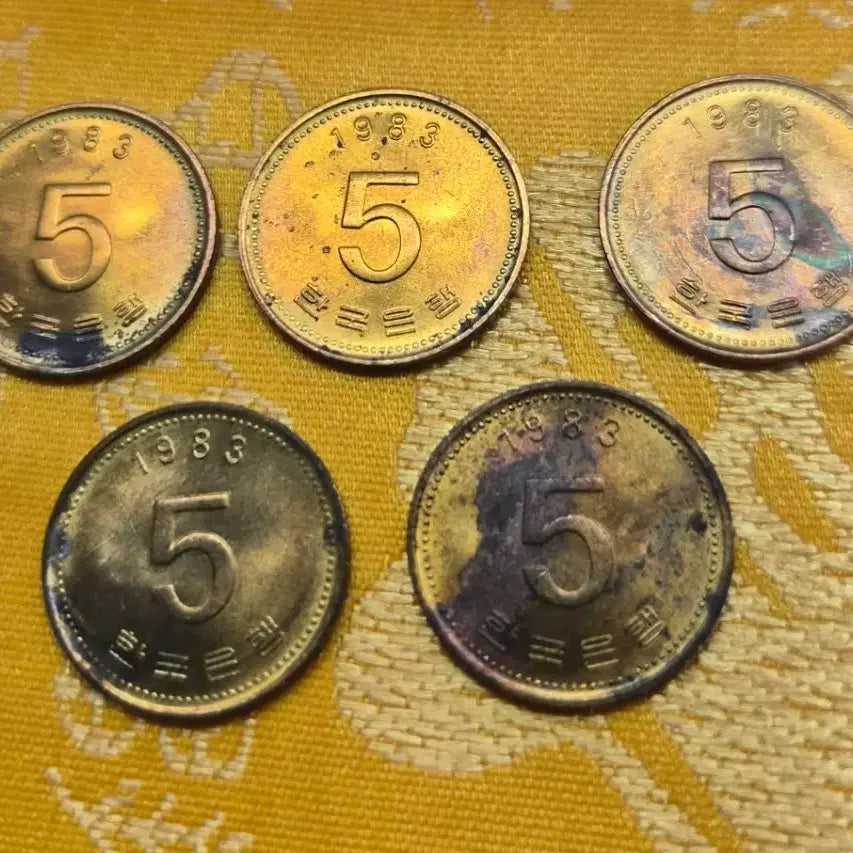 [BUNJANG] 1983 5 Won Coin Bundle (5 Coins) / 1983년 5원 동전 5개 일괄 (닦아 쓰실분)