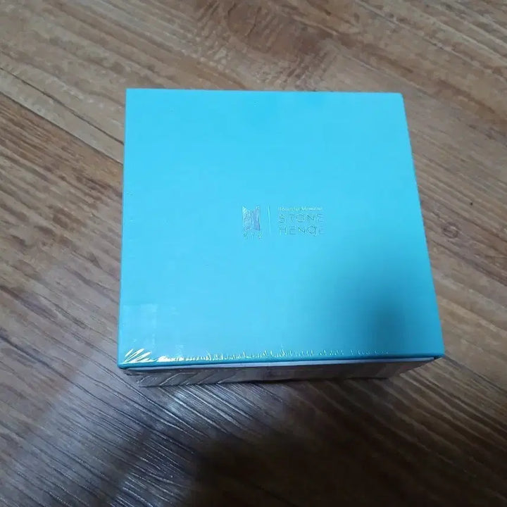 [BUNJANG] Stonehenge V Silver Necklace / BTS 스톤헨지 탄생 뷔 은목걸이