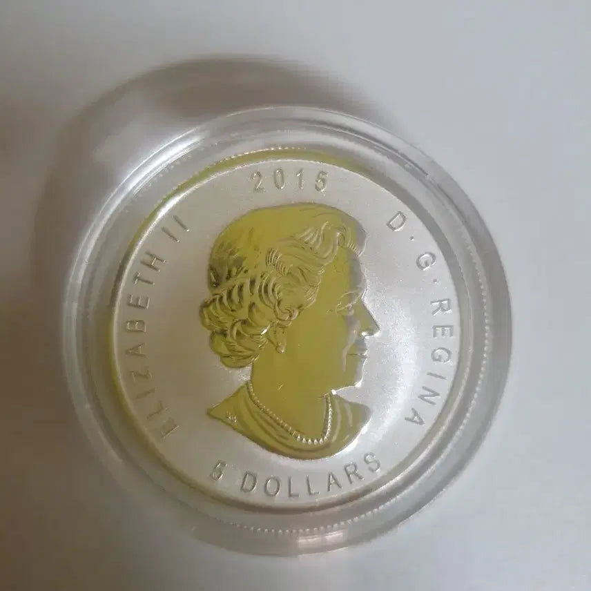 [BUNJANG] Canada Maple Leaf E=mc2 Privvy Silver Coin 1oz / 캐나다 메이플 리버스프루프 E=mc2 프리비 은화 1온스