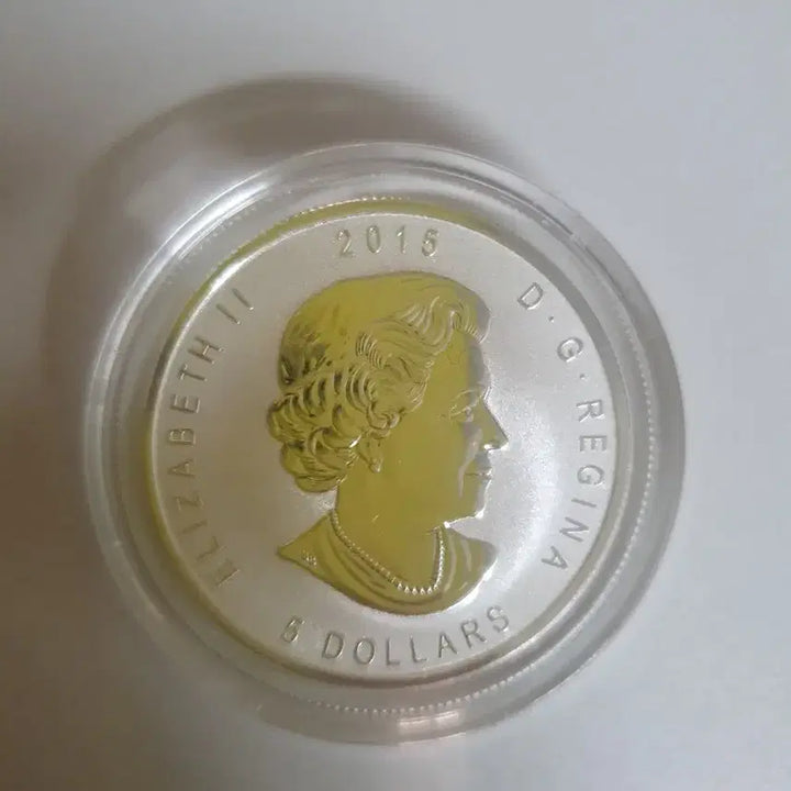 [BUNJANG] Canada Maple Leaf E=mc2 Privvy Silver Coin 1oz / 캐나다 메이플 리버스프루프 E=mc2 프리비 은화 1온스