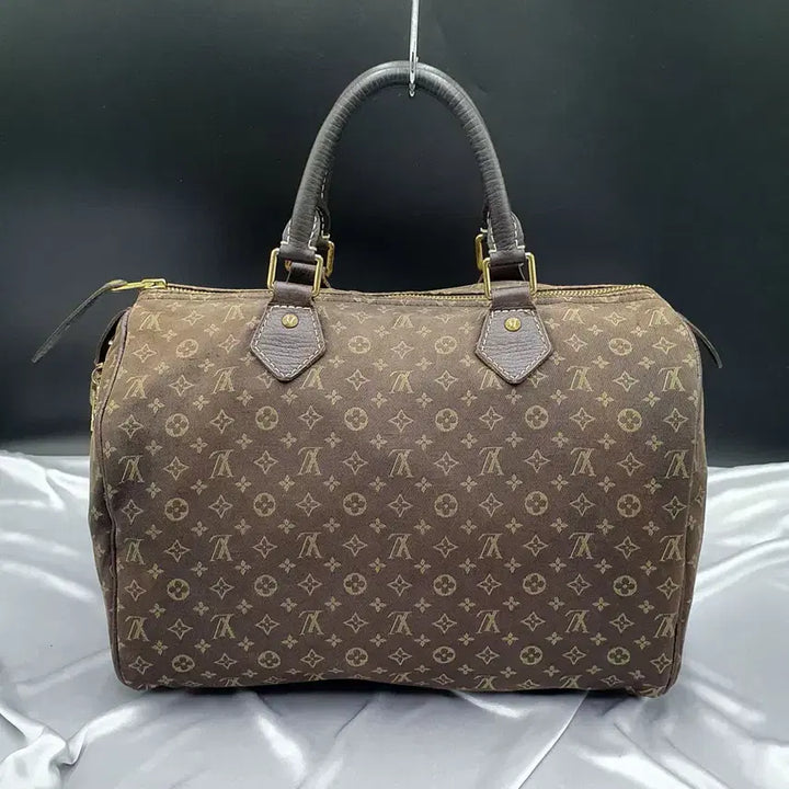 [BUNJANG] Louis Vuitton Mini Lin 30 Tote Bag / 루이비통 미니린 30 토트백 중고 명품 가방 은피아노