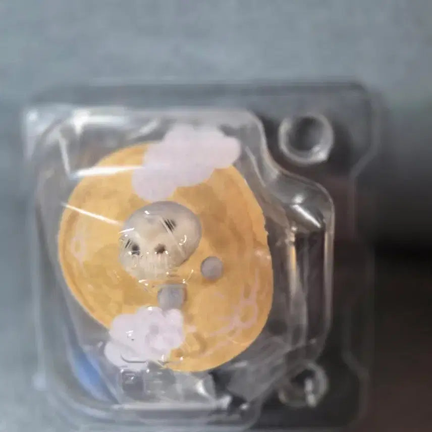 [BUNJANG] Sylvanian Families Random Pack / 실바니안 랜덤팩 미개봉 각 8000원