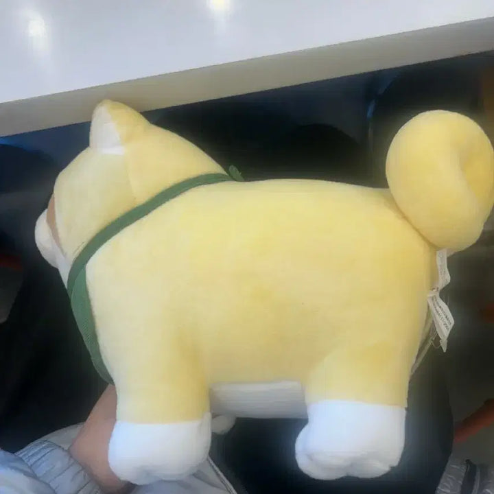 [BUNJANG] Shiba Inu Plush Toy / 시바견 인형