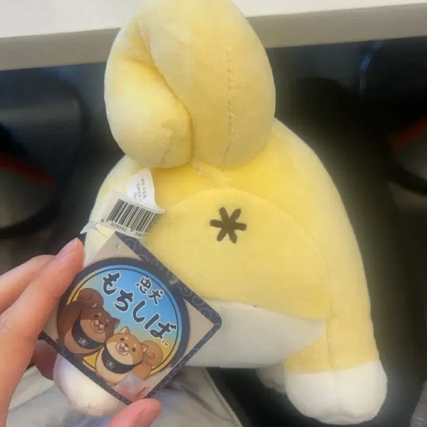 [BUNJANG] Shiba Inu Plush Toy / 시바견 인형