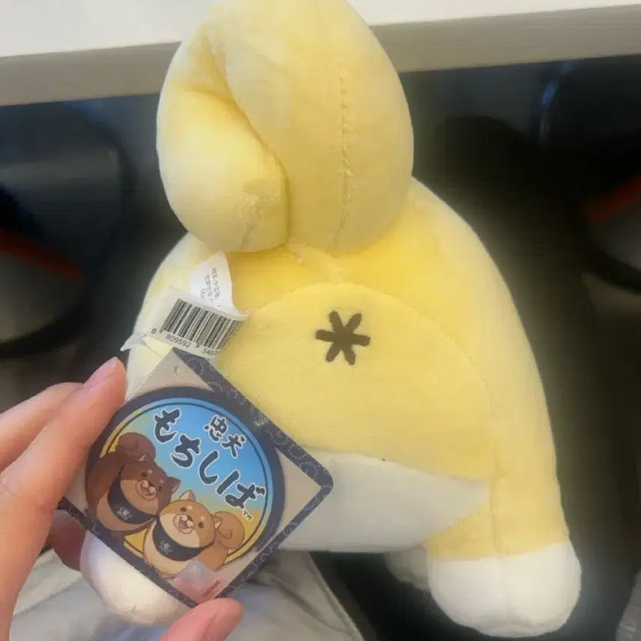 [BUNJANG] Shiba Inu Plush Toy / 시바견 인형