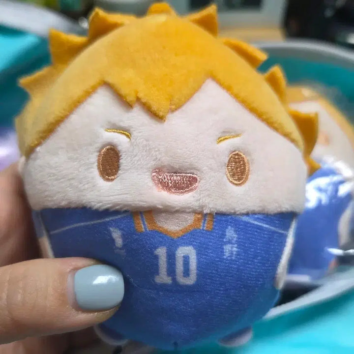 [BUNJANG] Haikyu Anime Mate Fuwakororin Hinata Plush Doll / 하이큐 애니메이트 후와쿠지 D상 히나타 후와코로링