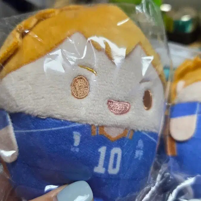 [BUNJANG] Haikyu Anime Mate Fuwakororin Hinata Plush Doll / 하이큐 애니메이트 후와쿠지 D상 히나타 후와코로링