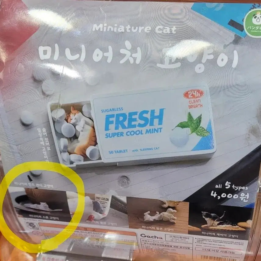 [BUNJANG] Miniature Cat Figure Gacha Spoon / 미니어처 고양이 피규어 가챠 스푼