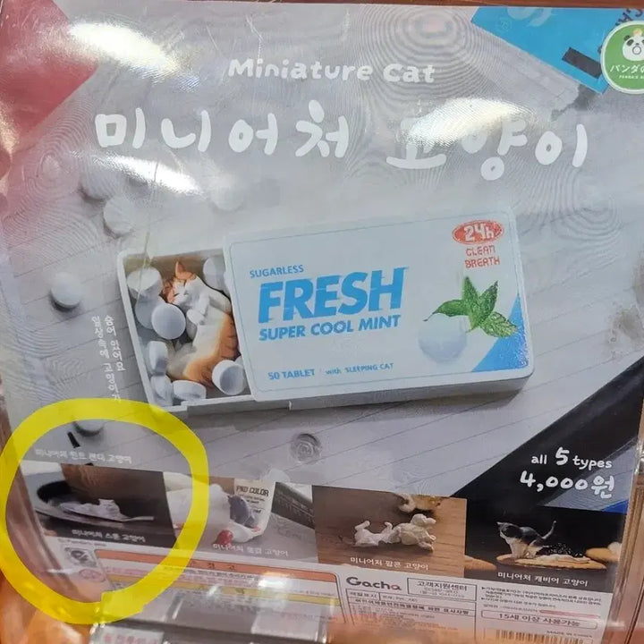 [BUNJANG] Miniature Cat Figure Gacha Spoon / 미니어처 고양이 피규어 가챠 스푼