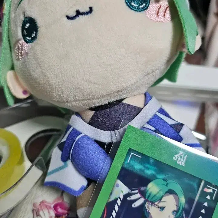 [BUNJANG] Gnosia Stella Mocchi Pico Plushie Photocard / 그노시아 스텔라 모찌피코 누이구루미 celebrate 포토카드 체키