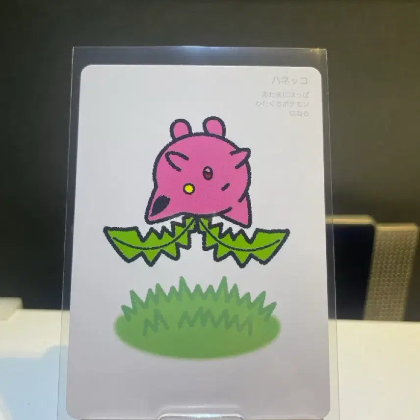 [BUNJANG] Pokemon Taruka&