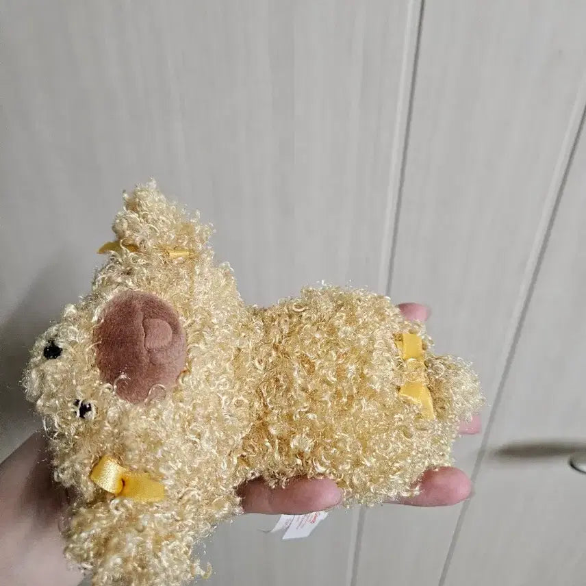 [BUNJANG] Pom Pom Purin Mascot / 폼폼푸린 강아지 마스코트
