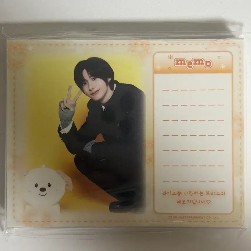 [BUNJANG] RIIZE Anton Hug Stationery Set (Bookend &amp; Memo Pad) / 일괄) 라이즈 앤톤 허그 스테이셔너리 책받침 &amp; 메모지