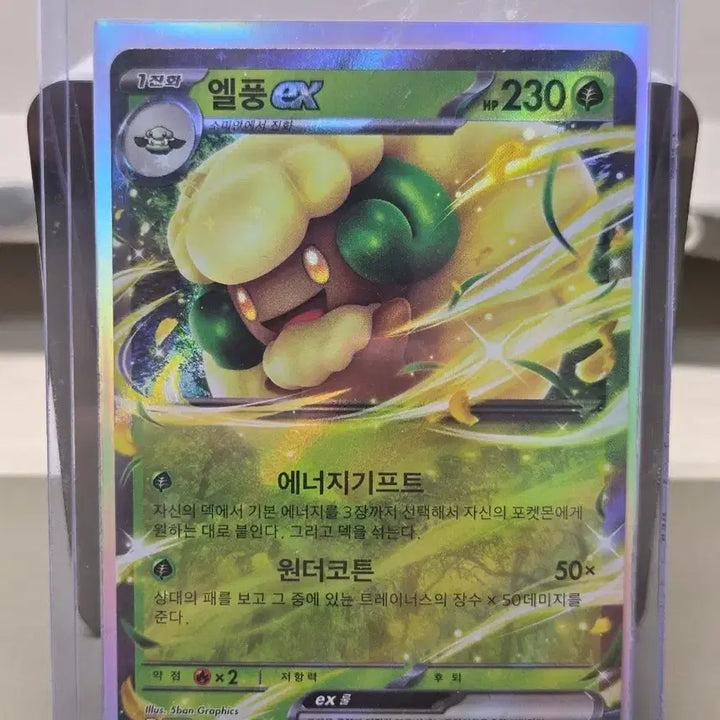 [BUNJANG] Pokemon EX Cards / 포켓몬 엘풍EX 카드