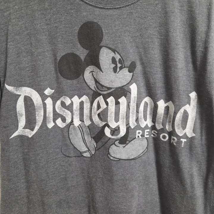[BUNJANG] Disney x Hanes Vintage T-Shirt L (Gray) / Disney Hanes 빈티지 반팔 티셔츠 L(100)
