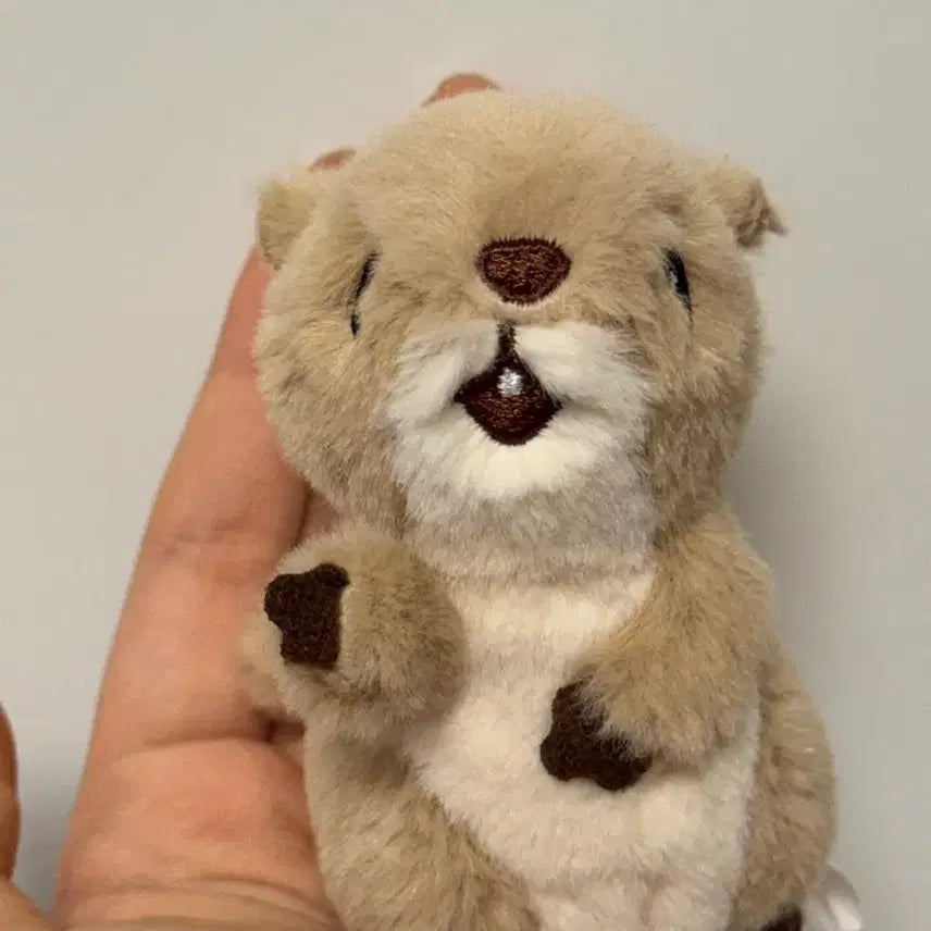 [SOLD OUT] 헬로우 프렌즈 프레리독 키링 10cm인형 누이 투바투 최수빈 수빈인형