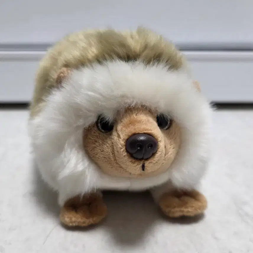 [BUNJANG] Mingle Hedgehog Plush Toy / 밍글러 고슴도치 인형