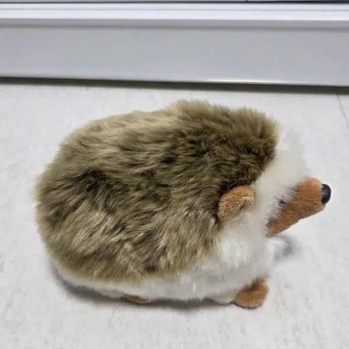 [BUNJANG] Mingle Hedgehog Plush Toy / 밍글러 고슴도치 인형