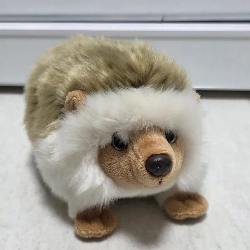 [BUNJANG] Mingle Hedgehog Plush Toy / 밍글러 고슴도치 인형