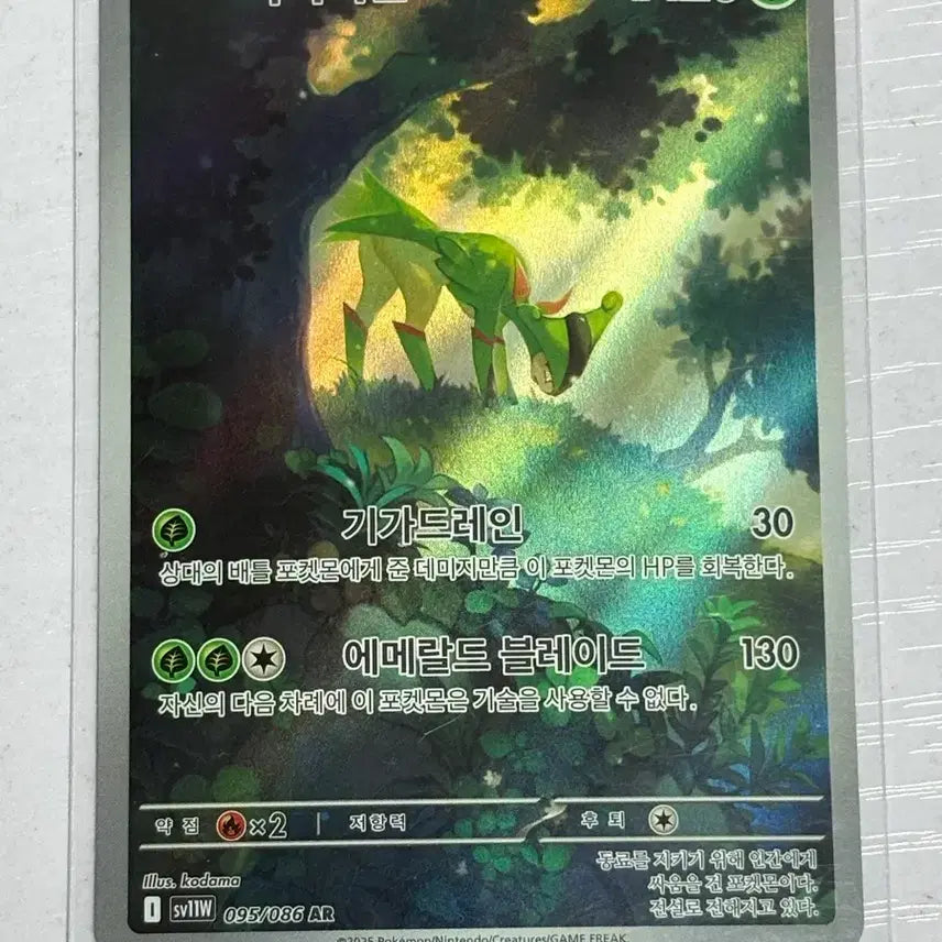 [BUNJANG] Pokemon Virizion AR Trading Card / [귀여운 포켓몬카드] 비리디온 AR (블볼화플)