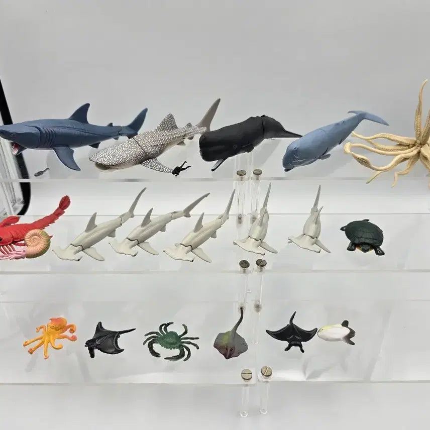 [BUNJANG] Marine Life Joint Figure Bundle Set / 해양생물 관절 피규어 가챠 일괄