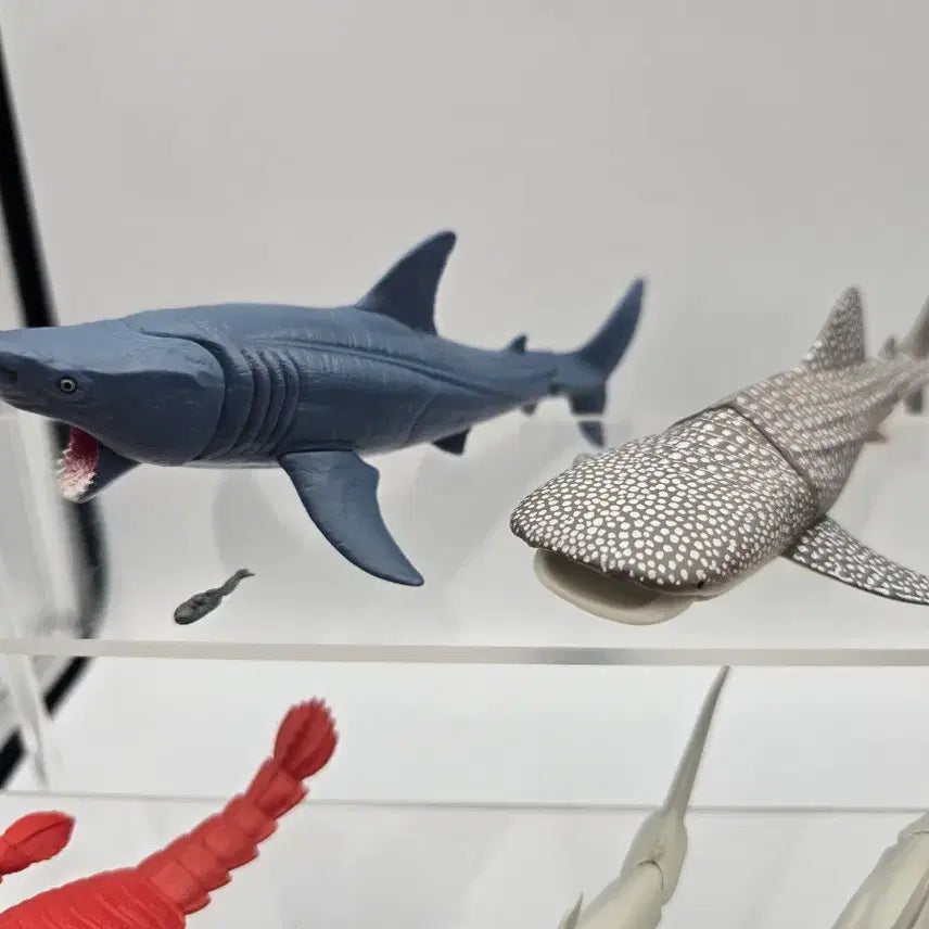 [BUNJANG] Marine Life Joint Figure Bundle Set / 해양생물 관절 피규어 가챠 일괄