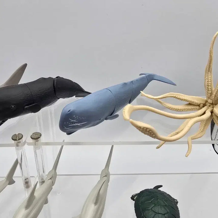 [BUNJANG] Marine Life Joint Figure Bundle Set / 해양생물 관절 피규어 가챠 일괄