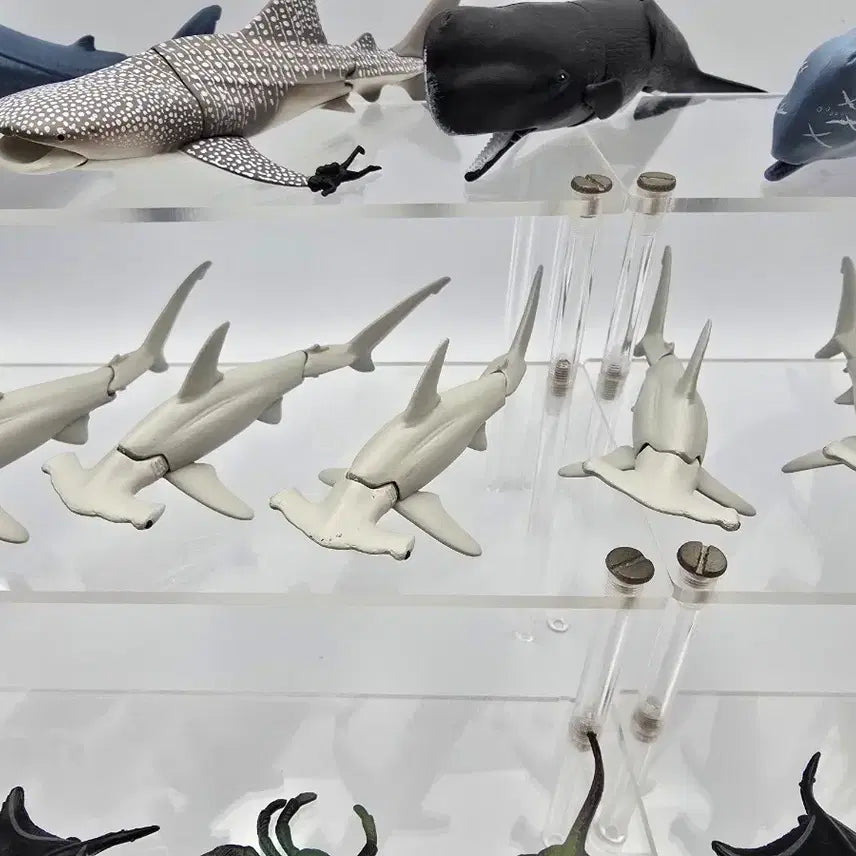 [BUNJANG] Marine Life Joint Figure Bundle Set / 해양생물 관절 피규어 가챠 일괄