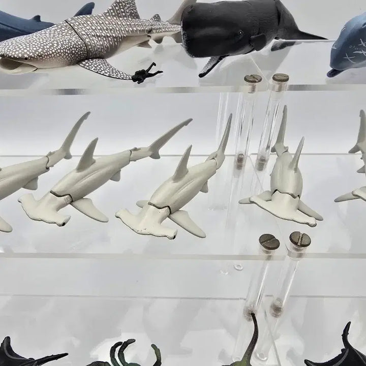 [BUNJANG] Marine Life Joint Figure Bundle Set / 해양생물 관절 피규어 가챠 일괄