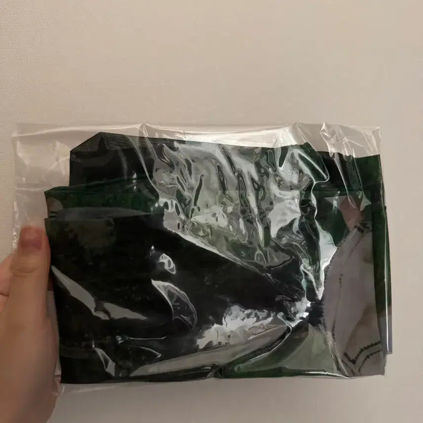 [BUNJANG] NCT Dream Haechan Fabric Poster and Photocard / 엔시티드림 페브릭 포스터 해찬포카