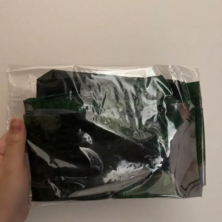 [BUNJANG] NCT Dream Haechan Fabric Poster and Photocard / 엔시티드림 페브릭 포스터 해찬포카