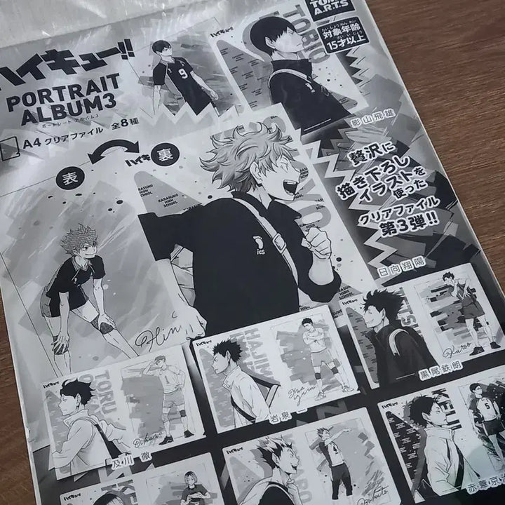 [BUNJANG] Haikyuu! Iwaizumi A4 Clear File / 하이큐 이와이즈미 A4클리어파일
