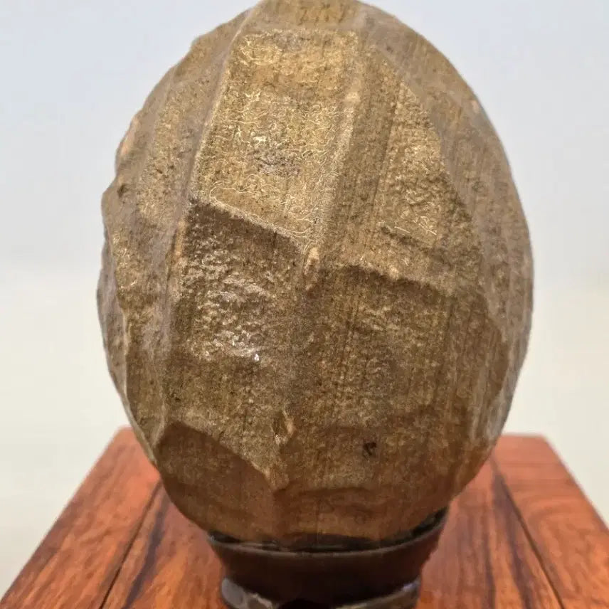 [BUNJANG] Chinese Peanut Stone / 26031419 주름 변화가 좋은 중국 땅콩석 수석 팝니다