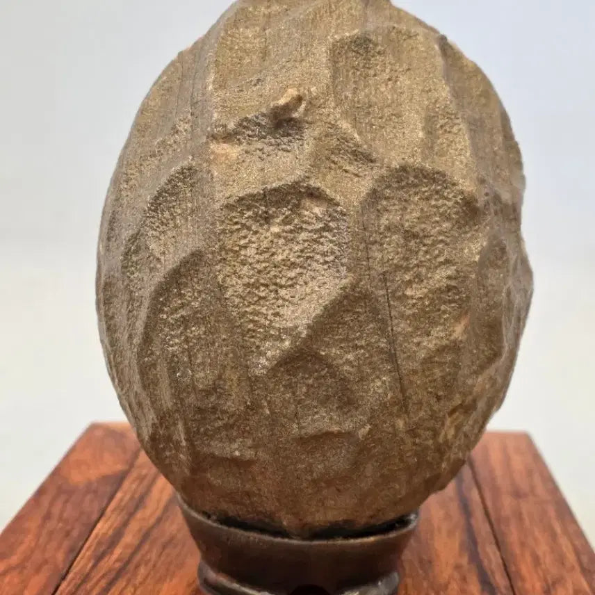 [BUNJANG] Chinese Peanut Stone / 26031419 주름 변화가 좋은 중국 땅콩석 수석 팝니다