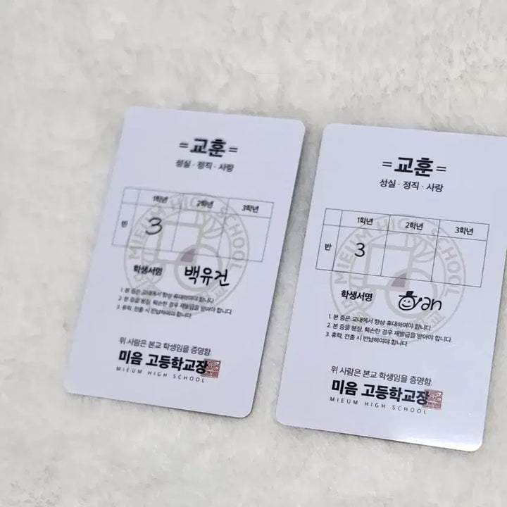 [BUNJANG] Merry Marbling Ian Yugyeom Student ID Set / 메리마블링 텀블벅 이안 유건 학생증 세트