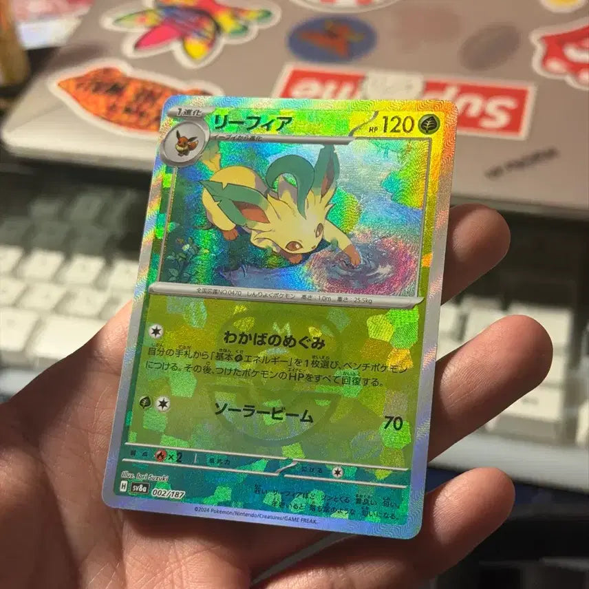 [BUNJANG] Pokemon Leafeon Master Ball Japanese Card / 포켓몬 카드 리피아 마스터볼 일판