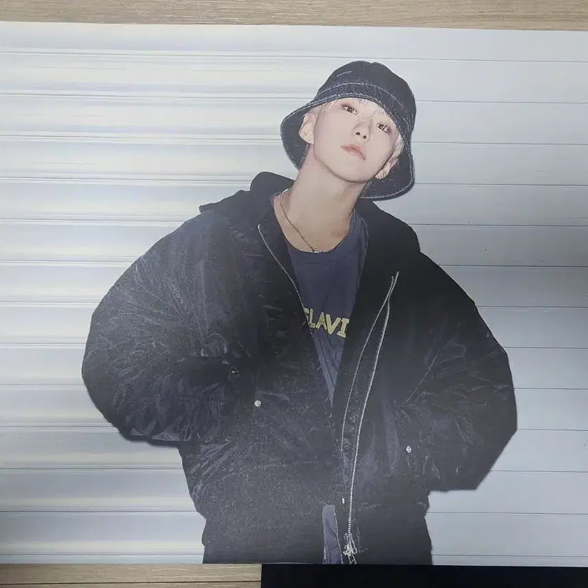 [BUNJANG] Hoshi x ADLV Collaboration Poster / 호시 아크메드라비 adlv 콜라보 포스터