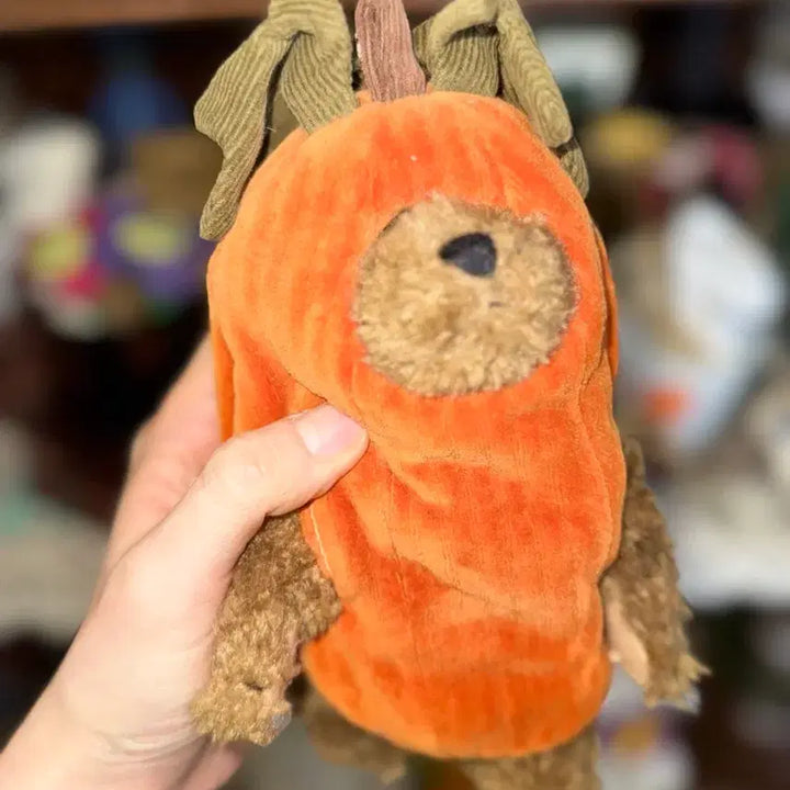 [BUNJANG] Boyds Bears Vintage Pumpkin Costume Teddy Bear / 보이즈베어 레어 빈티지 호박 코스튬 곰인형 테디베어