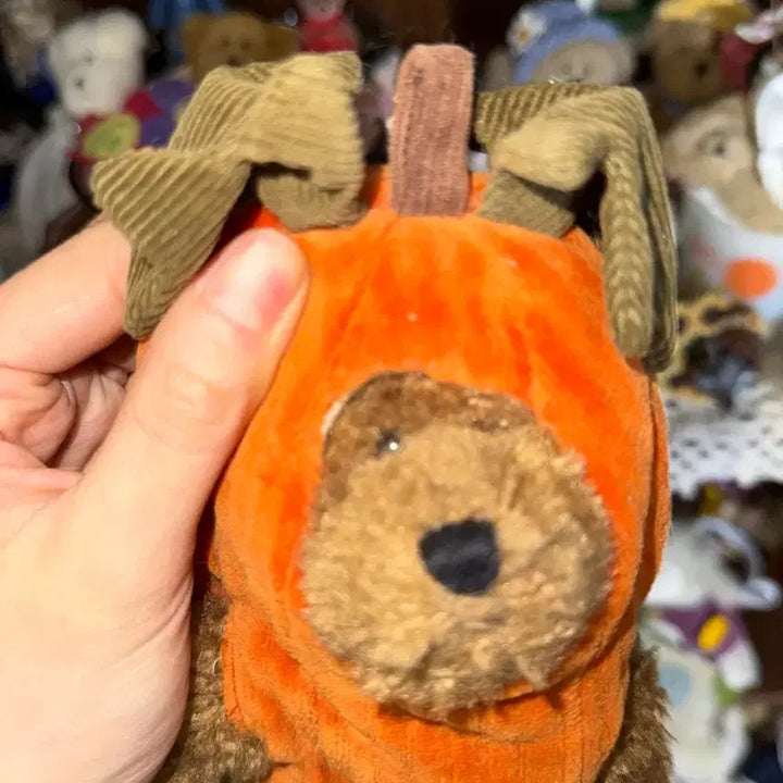 [BUNJANG] Boyds Bears Vintage Pumpkin Costume Teddy Bear / 보이즈베어 레어 빈티지 호박 코스튬 곰인형 테디베어