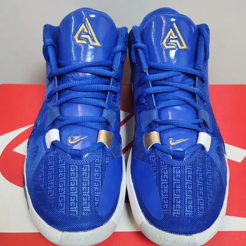 [BUNJANG] Nike Zoom Freak 1 Greece Basketball Shoes / 나이키 줌프릭 1 그리스 240mm 농구화