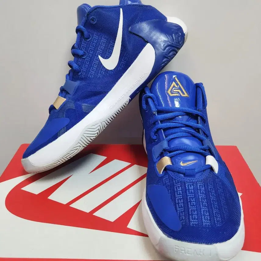 [BUNJANG] Nike Zoom Freak 1 Greece Basketball Shoes / 나이키 줌프릭 1 그리스 240mm 농구화